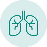 Icon lungs
